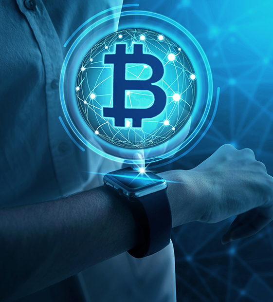 Crypto License (VARA/VASP)